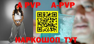 стафф Кингисепп