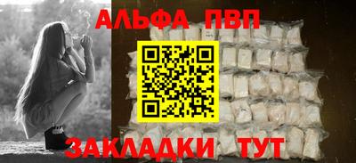 стафф Кингисепп