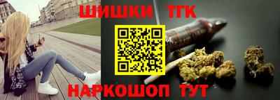стафф Кингисепп