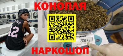 стафф Кингисепп