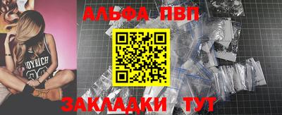 стафф Кингисепп