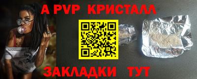 стафф Кингисепп