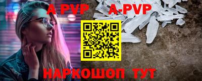 стафф Кингисепп