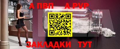 стафф Кингисепп