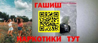 стафф Кингисепп