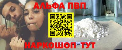 стафф Кингисепп